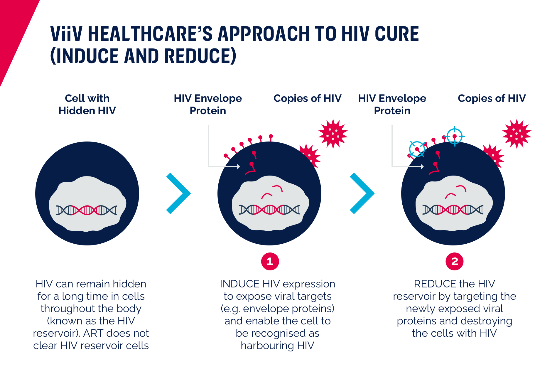 HIV Cure The goal to end the HIV epidemic ViiV Healthcare