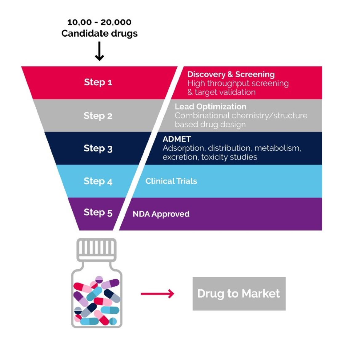 Graphic showing 5 steps of drug production which include: Step 1 – Discovery & Screening, step 2 – Lead optimisation, step 3 Adsorption, distribution, metabolism, excretion, toxicity studies; step 4 – clinical trials; step 5 NDA approval